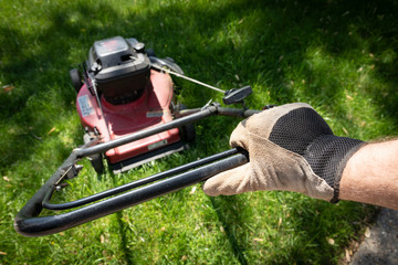 Hand in glove pushing lawnmower through green grass.