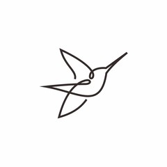 Hummingbird Line Art