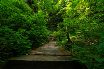 Obraz premium Path to Aurora Canyon