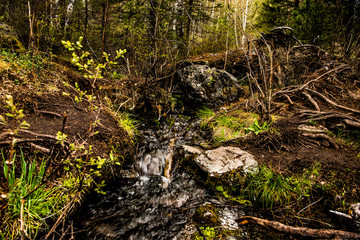 Beautiful spring landscape in Altai 