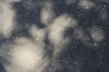 Asphalt surface with the shadow of tree branches on a bright sunny day close up. Abstract background