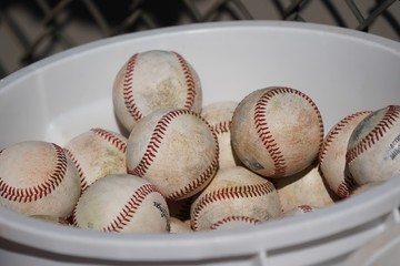 baseball in a bucket 