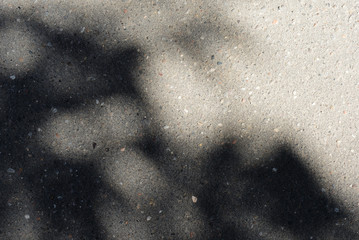Asphalt surface with the shadow of tree branches on a bright sunny day close up. Abstract background