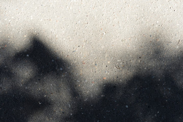 Asphalt surface with the shadow of tree branches on a bright sunny day close up. Abstract background