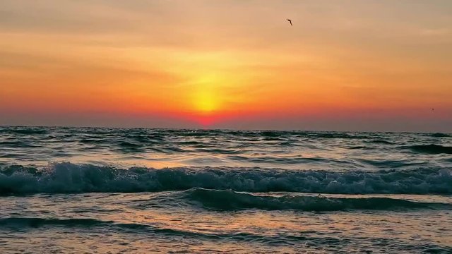 A beautiful beach sunset. The sun barely below the horizon and the dusky colors filling the sky and reflecting on the waves crashing on the shore. Seagulls flying. Shot in Clearwater, Florida, USA.