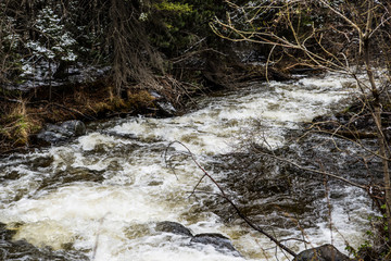 Katun river in spring, Altai