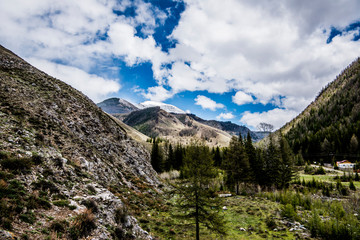 Beautiful spring landscape in Altai 