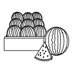 tropical fruits design