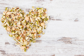 Nutritious different sprouts as source vitamins and minerals. Healthy nutrition, place for text