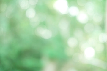 Natural green bokeh background