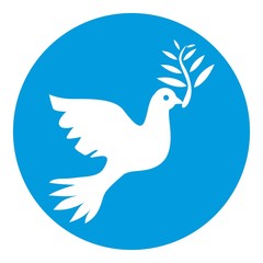 Fototapeta premium Dove of white color symbol of peace isolated in circle