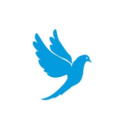 Dove vector. Isolated blue icon