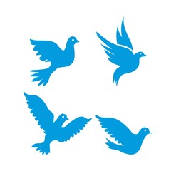 Set of flying birds sign isolated on white.