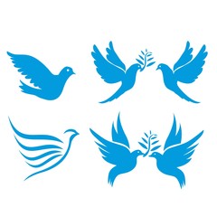 Set of flying birds sign isolated on white.