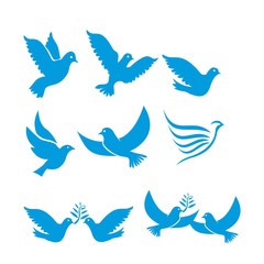 Set of flying birds sign isolated on white.