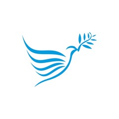 Fototapeta premium Dove vector. Isolated blue icon