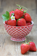 Erdbeeren in einer Schale