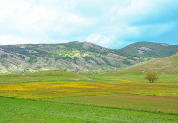 Altopiano di Rascino (Rieti, Italy) - The extended plateau of Rascino lake, over a thousand meters...