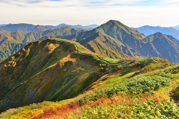 魚沼三山越後駒ヶ岳山頂から中ノ岳への縦走路