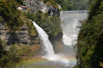 waterfall in the forest