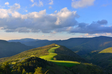 Flèche lumineuse de verdure dans les Cévennes, département de la Lozère  en région Occitanie ,...