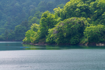 初夏の奥只見湖