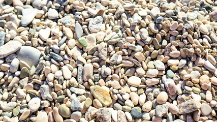 Pebble stones of different colors and shapes.