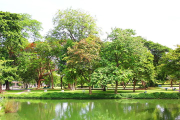 Obraz premium fresh air in park.green area create a good environment in the city for people to have outdoor activities.