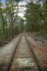 Obraz premium railway in the forest