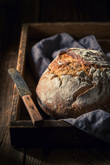 Fresh and tasty loaf of bread on dark table