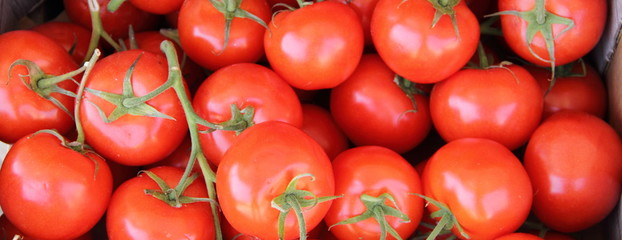 Strauchtomaten auf dem Wochenmarkt