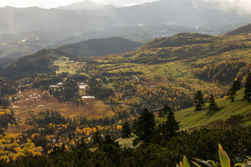 Obraz premium 紅葉の芳ヶ平湿地群（志賀高原）／早朝／群馬県吾妻郡中之条町