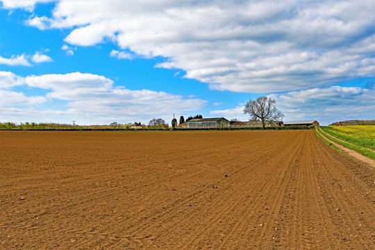 Road beside freshly ploughed field, Sprotbrough farmland, Doncaster