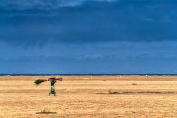 La porteuse de canne &agrave; sucre