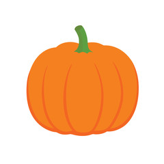 Orange pumpkin vector illustration. Autumn halloween pumpkin, vegetable graphic icon or print
