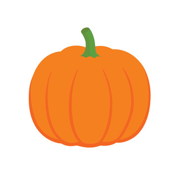 Orange pumpkin vector illustration. Autumn halloween pumpkin, vegetable graphic icon or print
