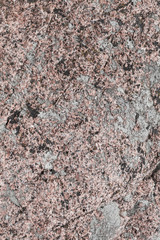 Natural granite stone with  lichen
