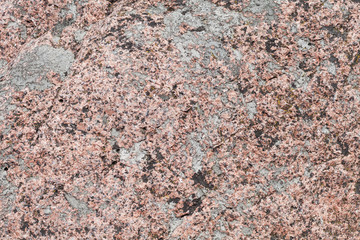 Natural granite stone with  lichen on it