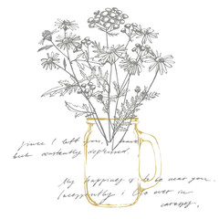Tansy and Chamomile. Bouquet of hand drawn flowers and herbs. Botanical plant illustration. Handwritten abstract text wallpaper. Imitation of a abstract vintage lettering.