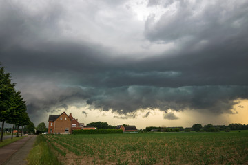 Fototapeta premium Ominous sky as the gust front of a severe thunderstorm is moving fast over the landscape of eastern Flanders, Belgium. Severeal trees were uprooted due to severe windgusts.