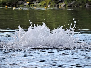 wave in the lake