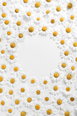 Obraz premium Floral pattern made of white chamomile daisy flowers on white background. Summer concept. Flat lay, top view, copy space. Daisy background