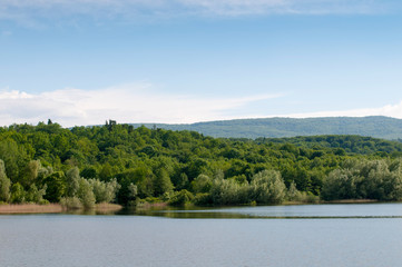 Blooming trees on a mountain lake in the open air against the background of the forest and mountains