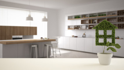White table top or shelf with green plant in pot shaped like house, modern blurred kitchen in the background, interior design, real estate, eco architecture concept idea