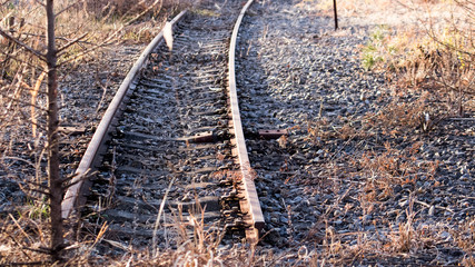 廃線の枯れたススキ