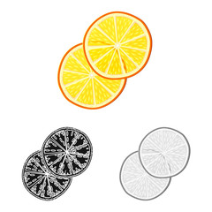 Isolated object of orange and dry  icon. Set of orange and juicy  stock vector illustration.