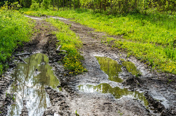 The muddy road in the forest on the Danube River near the town of Novi Sad in Serbia