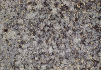 A few of the hundreds of varieties of marble in Turkey