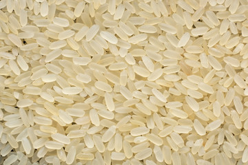 Background of white rice grains