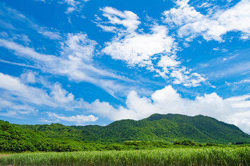Obraz premium Landscape of Ishigaki
